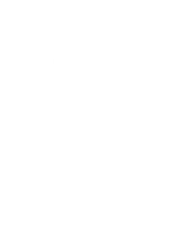Papila