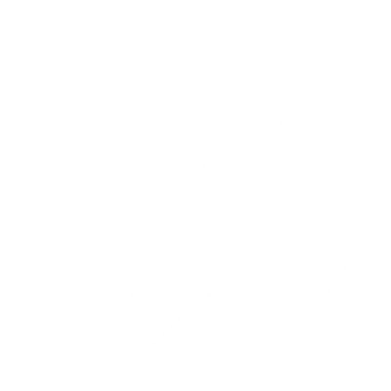 Stunt